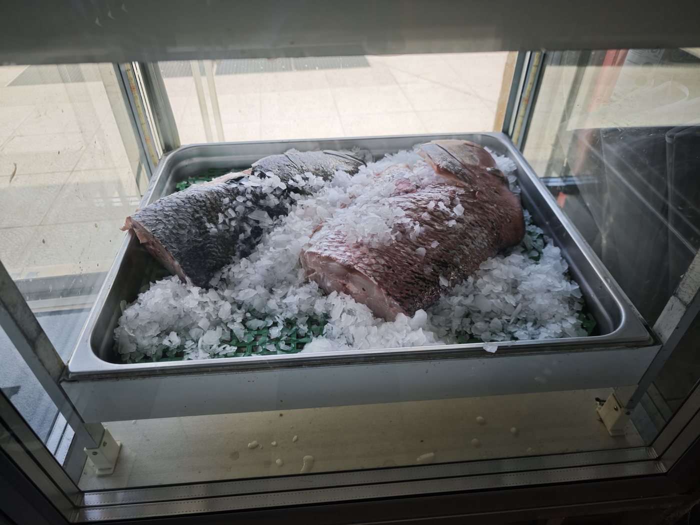 Fresh fish on ice at the Sagres market