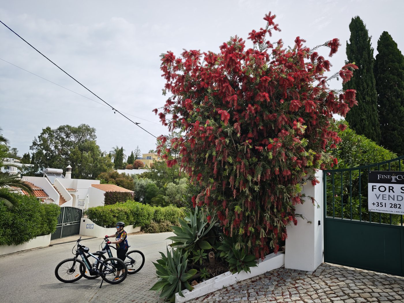 eBikes parked under a large red flowering shrub in the Algarve hills