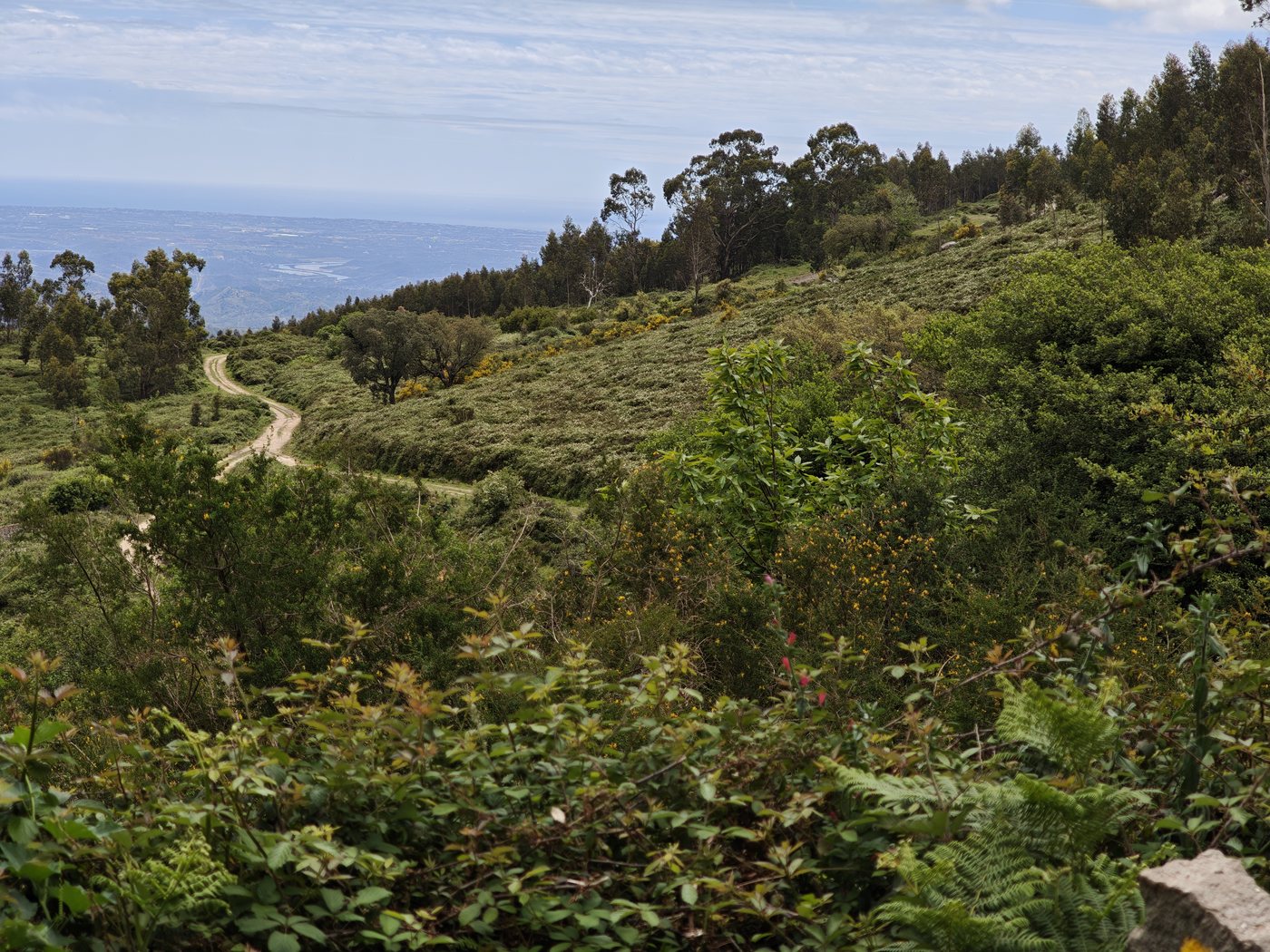 Winding dirt track through green serra hillside with sea in the distance