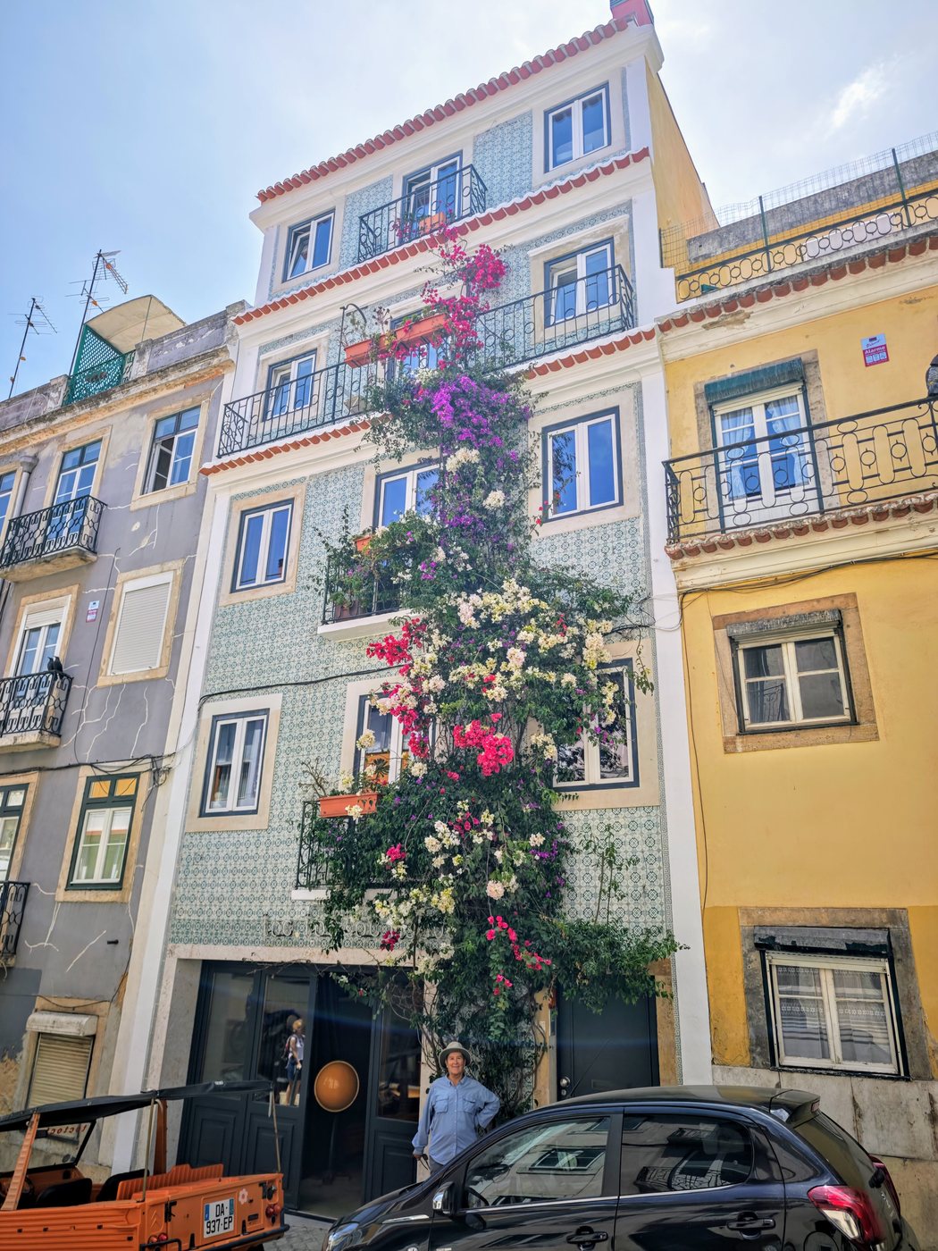 A bougainvillea vine climbing five stories up a tiled Lisbon building facade