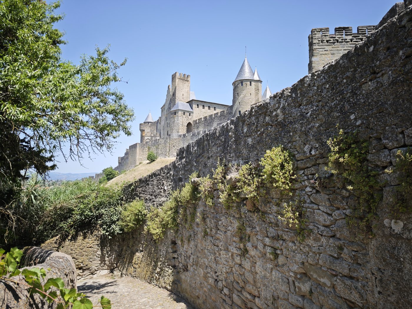 Carcassonne!