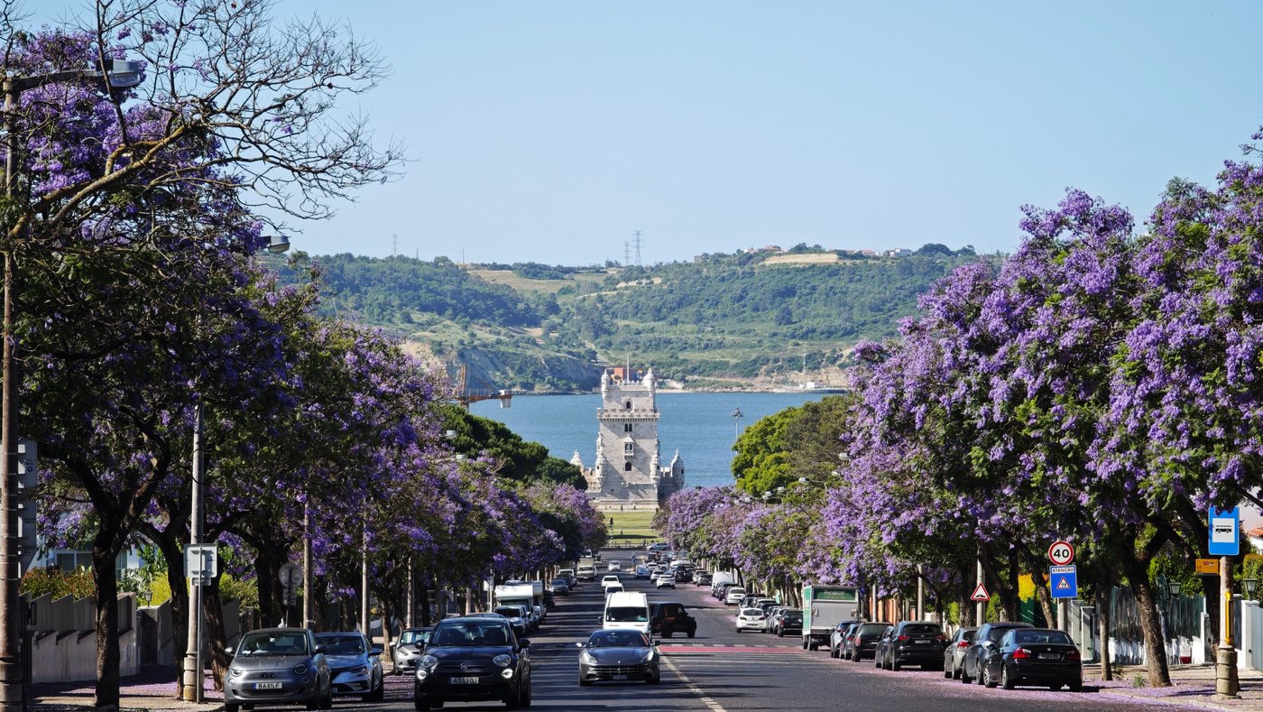 Jacaranda-lined avenue leading down to Belém Tower with the Tagus river in the background